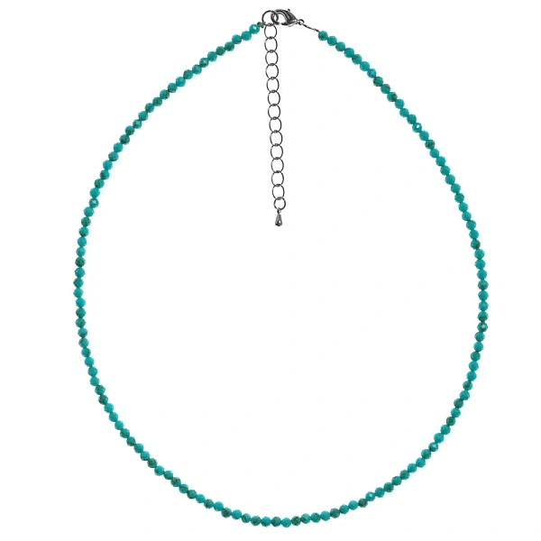 Чокер ДИНОСА с говлитом