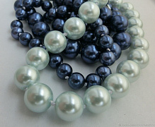 Ракушка: особенности и уход